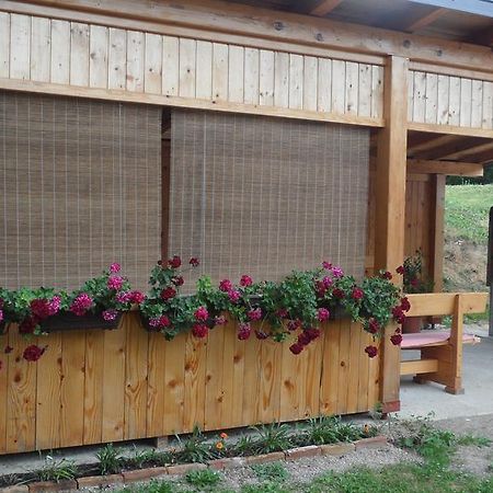 Apartment Rendulic Rakovica Εξωτερικό φωτογραφία