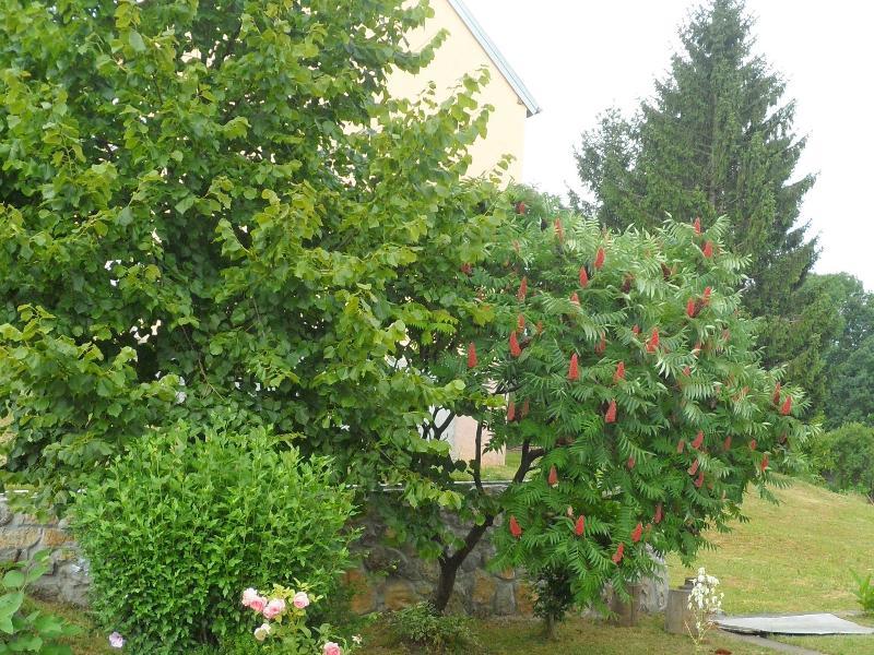 Apartment Rendulic Rakovica Εξωτερικό φωτογραφία